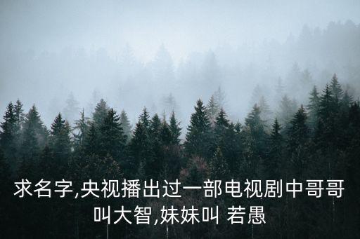 求名字,央視播出過一部電視劇中哥哥叫大智,妹妹叫 若愚