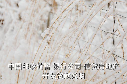 中國郵政儲蓄 銀行公司 信貸房地產(chǎn)開發(fā)貸款說明