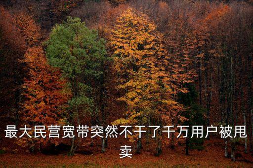 最大民營寬帶突然不干了千萬用戶被甩賣