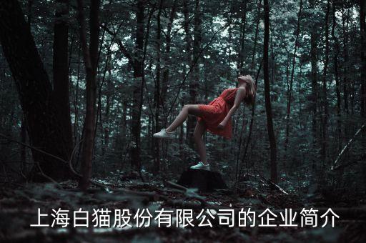  上海白貓股份有限公司的企業(yè)簡介