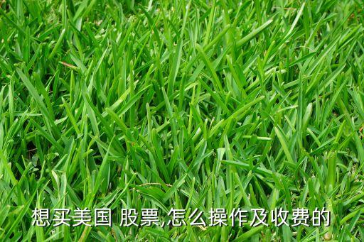 想買(mǎi)美國(guó) 股票,怎么操作及收費(fèi)的