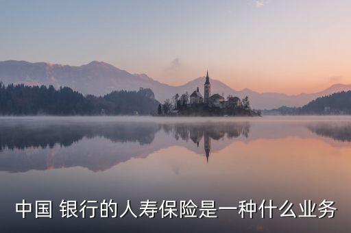 中國 銀行的人壽保險是一種什么業(yè)務(wù)