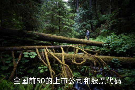 全國(guó)前50的上市公司和股票代碼