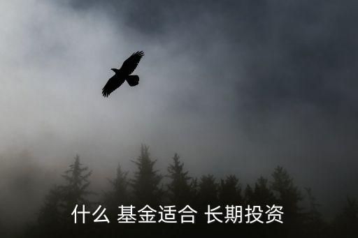 適合長(zhǎng)期持有的基金,適合窮人理財(cái)方法