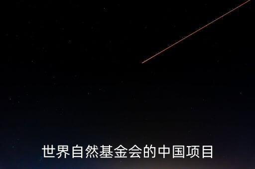 海外投資飲用水,投資一個飲用水廠的多錢