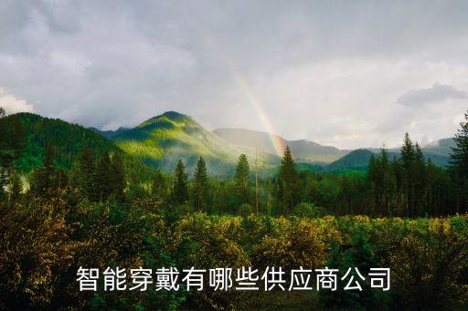 智能穿戴有哪些供應(yīng)商公司