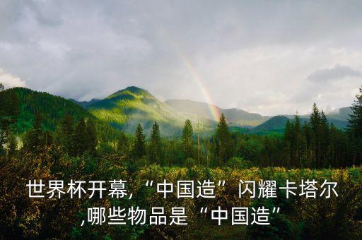 世界杯的中國制造