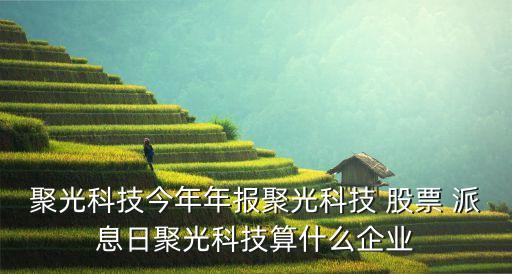 聚光科技今年年報(bào)聚光科技 股票 派息日聚光科技算什么企業(yè)