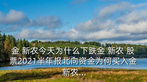 金 新農今天為什么下跌金 新農 股票2021半年報北向資金為何買入金 新農...