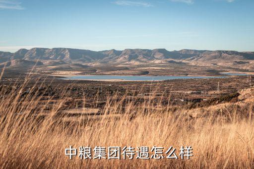  中糧集團(tuán)待遇怎么樣