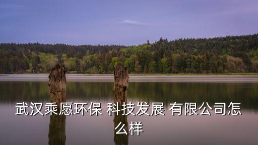 大連樂普四方科技發(fā)展有限公司,樂普四方智能化節(jié)能設備有限公司怎么樣