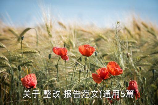 公司網(wǎng)站整改報(bào)告,年報(bào)、公司報(bào)告及公司網(wǎng)站