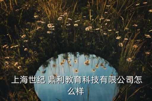  上海世紀 鼎利教育科技有限公司怎么樣