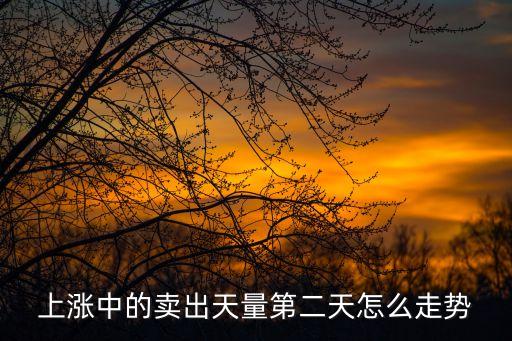 上漲中的賣出天量第二天怎么走勢(shì)