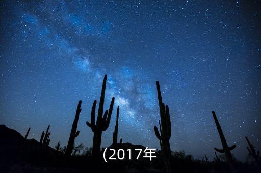 (2017年