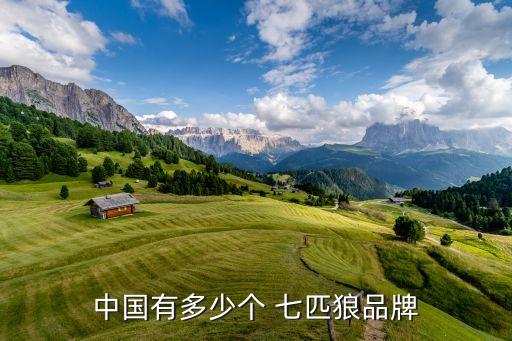 中國(guó)有多少個(gè) 七匹狼品牌