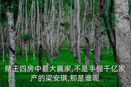 賭王四房中最大贏家,不是手握千億家產(chǎn)的梁安琪,那是誰呢
