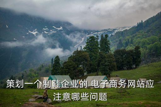 策劃一個制鞋企業(yè)的 電子商務網站應注意哪些問題