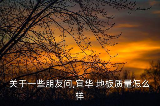德爾地板股票