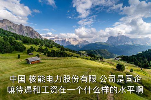 中國 核能電力股份有限 公司是國企嘛待遇和工資在一個(gè)什么樣的水平啊