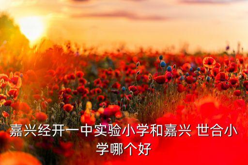 嘉興經(jīng)開一中實驗小學(xué)和嘉興 世合小學(xué)哪個好