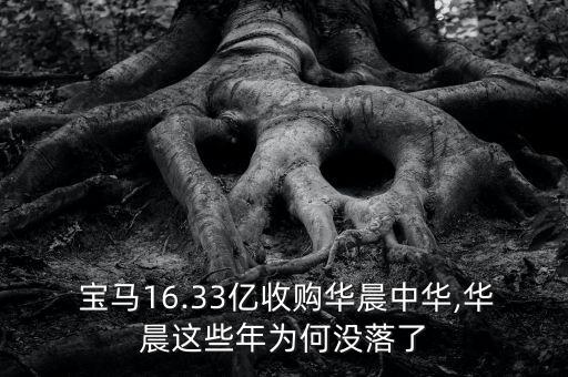  寶馬16.33億收購華晨中華,華晨這些年為何沒落了