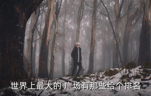 世界上最大的 廣場(chǎng)有那些給個(gè)排名