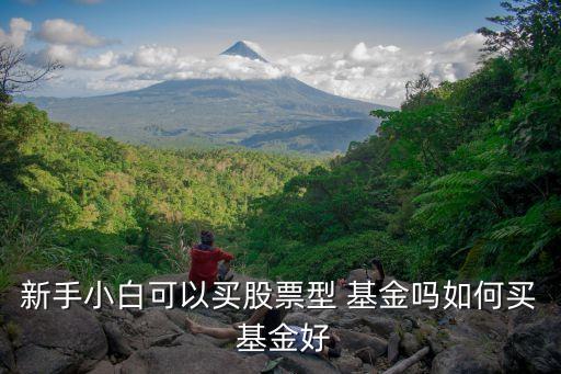新手小白可以買股票型 基金嗎如何買 基金好
