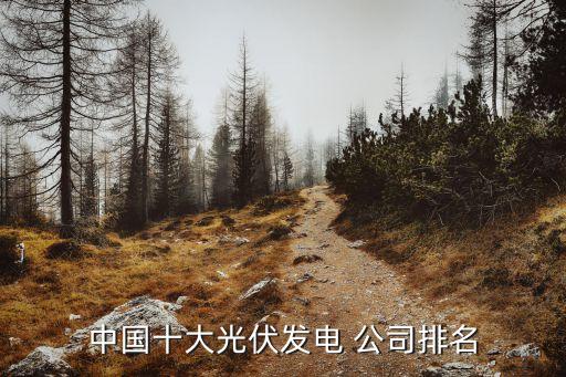 內(nèi)蒙古神州硅業(yè)有限責任公司