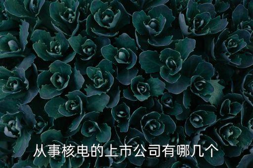 從事核電的上市公司有哪幾個
