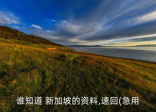 新加坡港務集團招聘,陳泗棕 新加坡港務集團