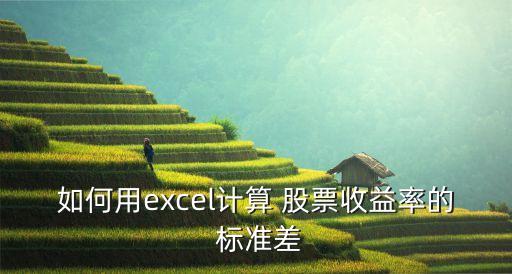 如何用excel計算 股票收益率的 標(biāo)準(zhǔn)差