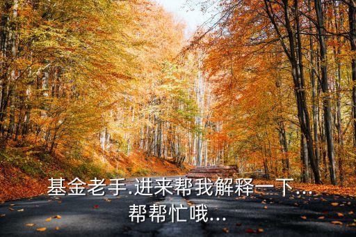  基金老手.進(jìn)來幫我解釋一下...幫幫忙哦...
