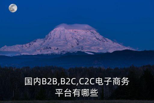 國(guó)內(nèi)B2B,B2C,C2C電子商務(wù)平臺(tái)有哪些