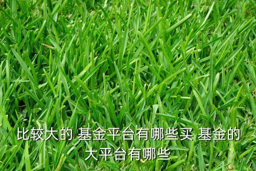 比較大的 基金平臺(tái)有哪些買 基金的大平臺(tái)有哪些