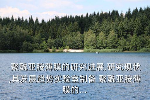  聚酰亞胺薄膜的研究進(jìn)展,研究現(xiàn)狀,其發(fā)展趨勢實驗室制備 聚酰亞胺薄膜的...