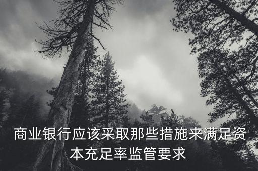 商業(yè)銀行次級債管理辦法,保險(xiǎn)公司次級債管理辦法