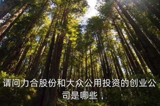 武漢世興電子有限公司,武漢中原電子集團(tuán)有限公司