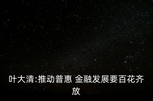 葉大清:推動(dòng)普惠 金融發(fā)展要百花齊放