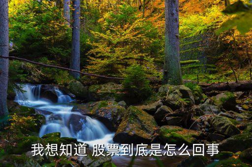 我想知道 股票到底是怎么回事
