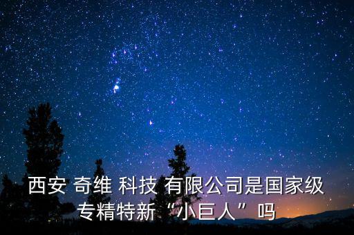 西安 奇維 科技 有限公司是國家級(jí)專精特新“小巨人”嗎
