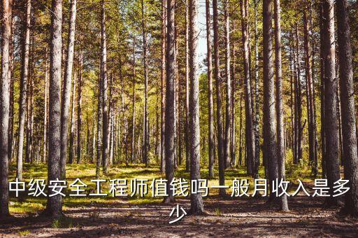 中級(jí)安全工程師值錢嗎一般月收入是多少