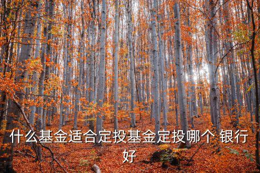 天弘500基金那家銀行代售
