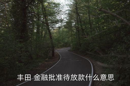 豐田汽車金融公司貸款,征信不好汽車金融公司能貸款嗎