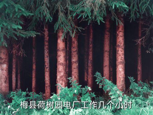 梅縣荷樹園電廠工作幾個(gè)小時(shí)