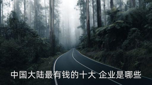 中國(guó)大陸最有錢的十大 企業(yè)是哪些