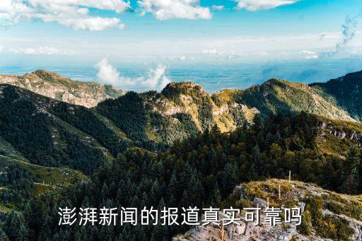 上海報(bào)業(yè)集團(tuán)的評論