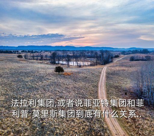  法拉利集團,或者說菲亞特集團和菲利普·莫里斯集團到底有什么關系...