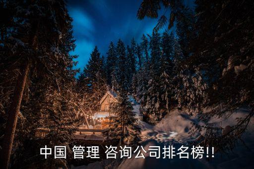 中國 管理 咨詢公司排名榜!!