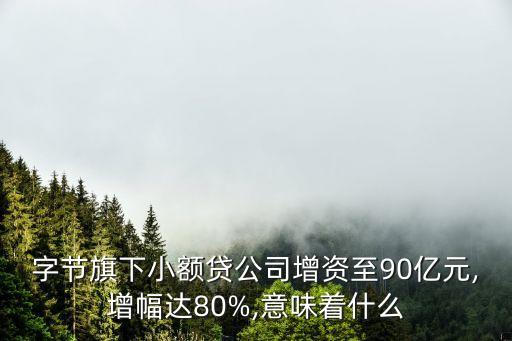 中國電商小貸累計貸款規(guī)模